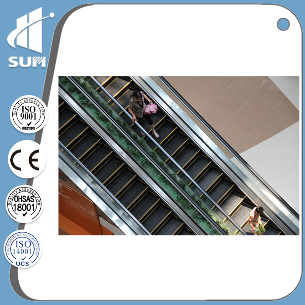 Ce Approved Speed 0.5m/S Aluminum Step Escalator