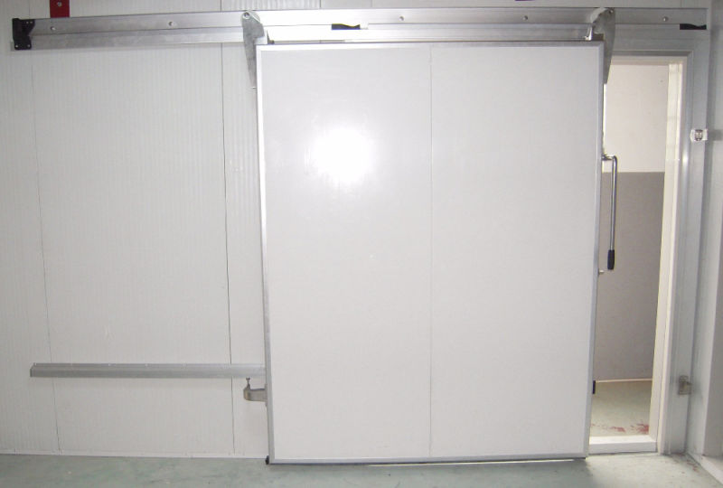 Deep Freezer Cold Room/Cold Storage Door