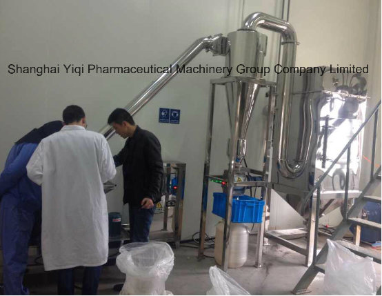 GMP ISO Ce Certified Herbal Medicine Pulverizer (WFJ-300)