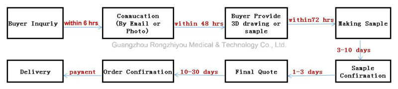 Human Health Female Urinary Pelvis Antomical Model with Description Plate