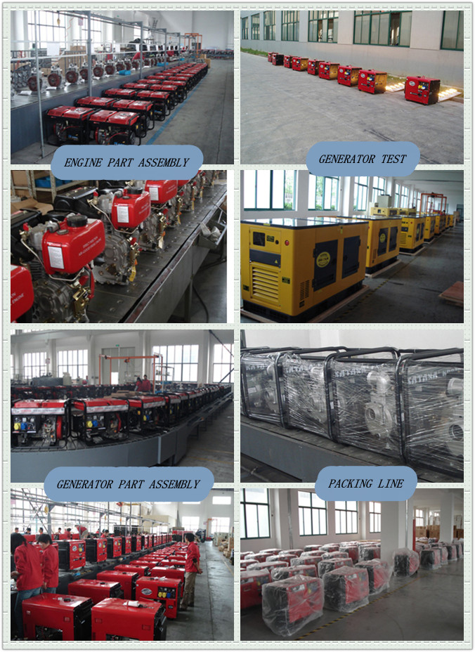 5kw Oil Alert Diesel Generator Set