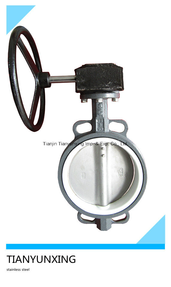 DIN Wafer Soft Seal PTFE Lined/Seated Butterfly Valve