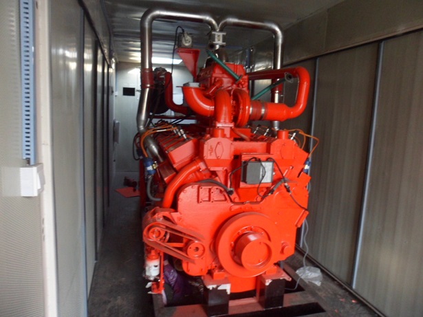 650kVA 520kw Cummins Natural Gas Generator, Biogas Generator