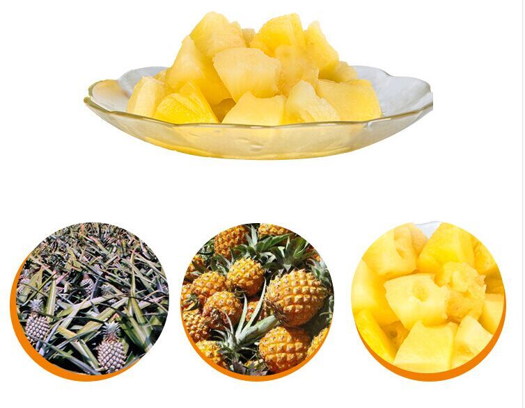 Canned Pineapple Slices, Chunks, Tidbits, Pieces  in Syrup