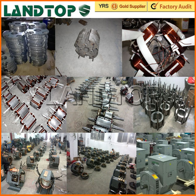 LANDTOP Competitive electric dynamo price in India