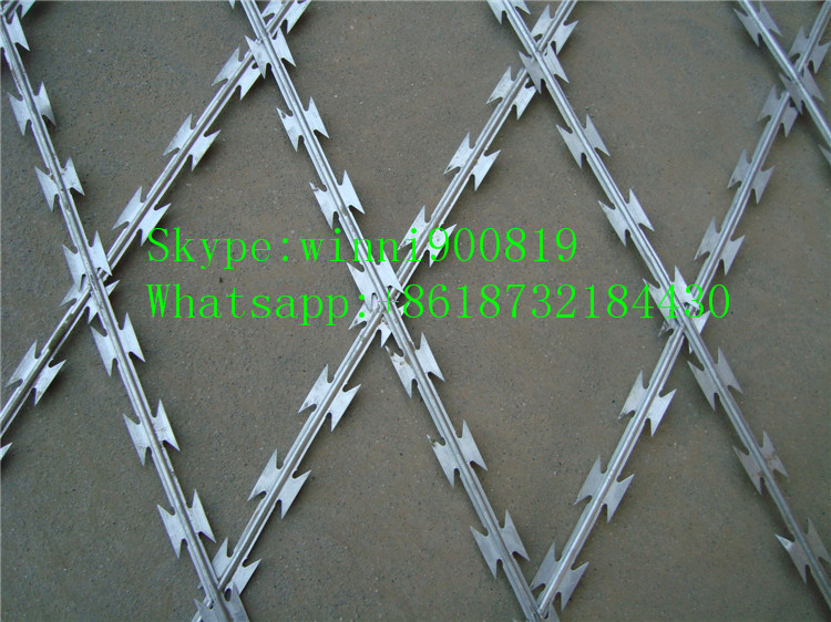 High Security Razor Barbed Wire with Lower Price