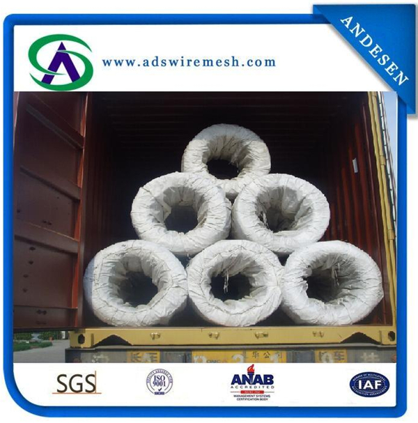 Professional Produce Electro/Hot-Dipped Galvanzied Iron Wire