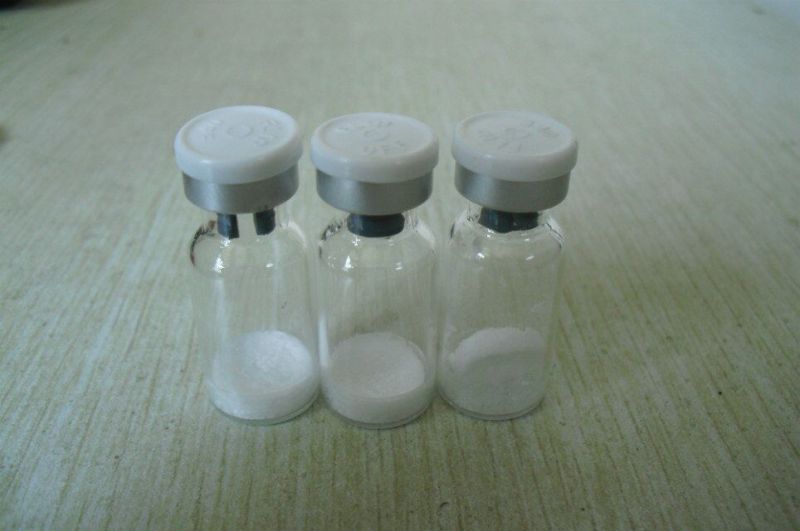 High Purity Igf-1lr3 Powder for Muscle Building with GMP Lab