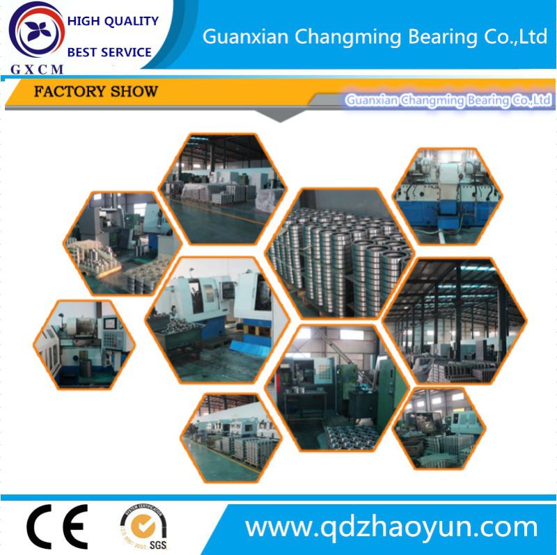 Factory Bearing Deep Groove Ball Bearing