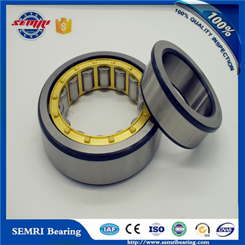 Nj2326m Roller Bearings C3 SKF Brand Cylindrical Roller Bearing