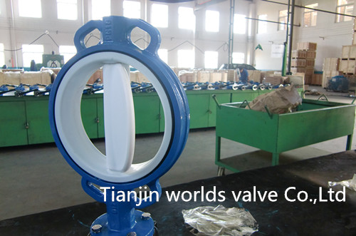 PTFE Coated Wafer Control Valve (D71X-10/16)