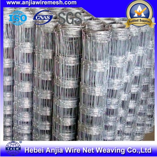 Galvanized Knotted Wire Mesh Cattle Fence Using in Herd, Field Fence, Fixed Fence