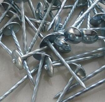 Galvanized Umbrella Head Roofing Nails  Factory