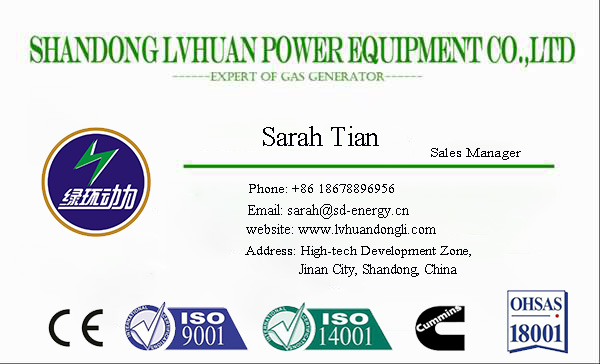 Generator Power 500 or 600kw Ce Approved for Coal Bed Gas