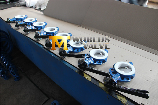 Dn150 Cast Iron Body Wafer Butterfly Valve with Seat in PTFE