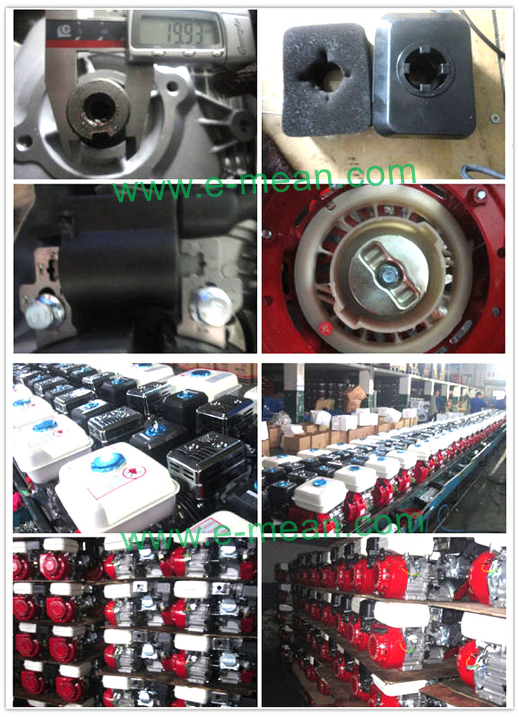 4-Stroke, Air Cooling, Single Cylinder, Gasoline Engine (CE)