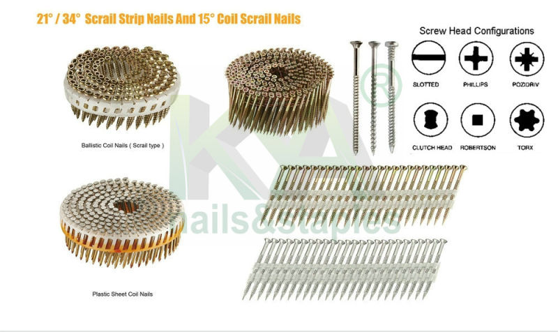 (Square Head) Galvanized Wire Collated Screw for Furnituring, Industry