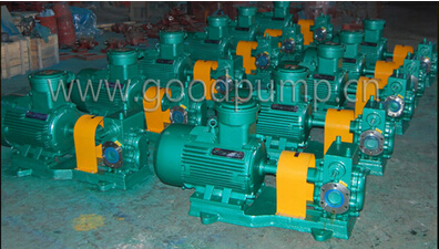 Ycb Stainless Steel Double Jacket Heat Perservation Rotor Pump