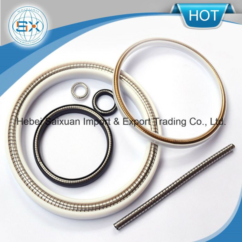 PTFE and Elastomeric Spring Energized Seals