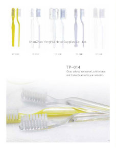 Disposable Hotel Toothbrush and Toothpaste Dentail Set