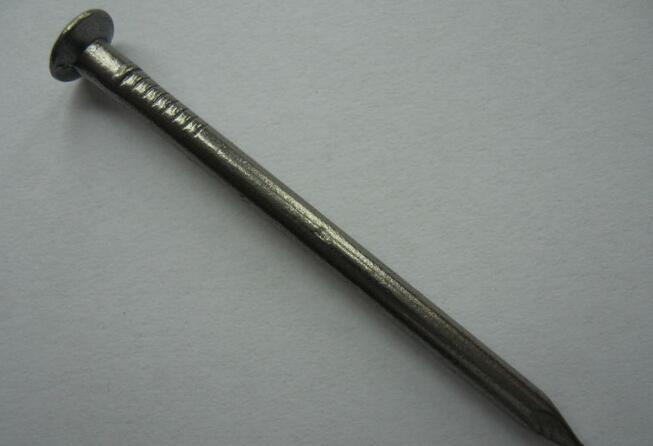 Competitive Common Iron Nail for Construction