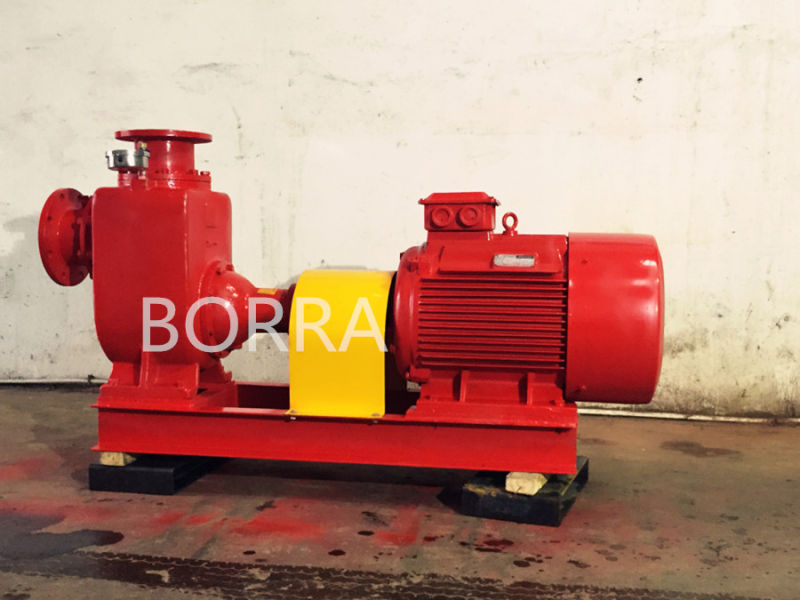 Self-Priming Electric Sewage Trash Centrifugal Water Pump