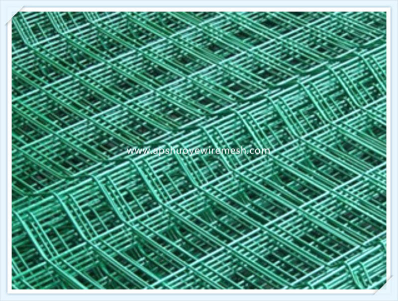 Galvanized Steel Welded Wire Mesh Panel or in Roll