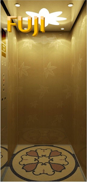 Villa Elevator Golden Yellow Home Elevator / Lift