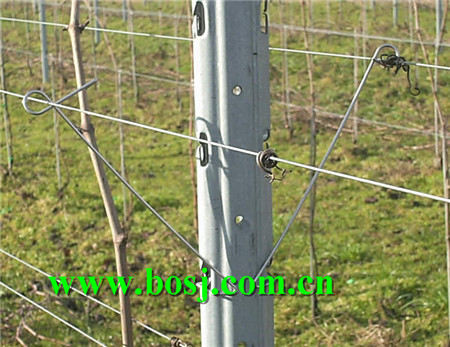 Renewable Sources 2.5 Meter Galvanized Vineyard Post Roll Forming Machine Supplier Hungary