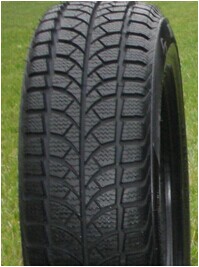 Winter Tire 195/65r15