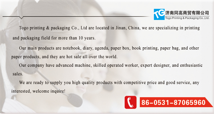 Professional Supplier of Paper Bags