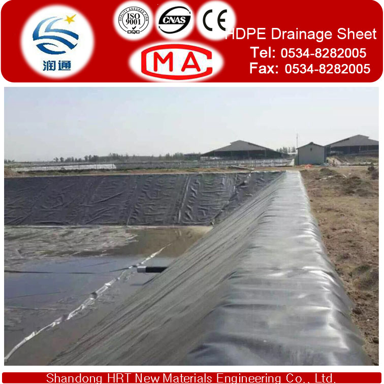 HDPE Geomembrane with One Side Textured for Dam Construction