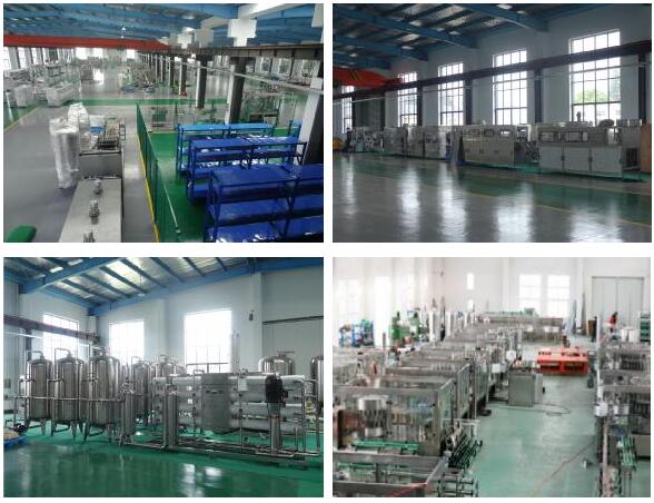 Wine Filling Production Line/Liquid Bottling Machine