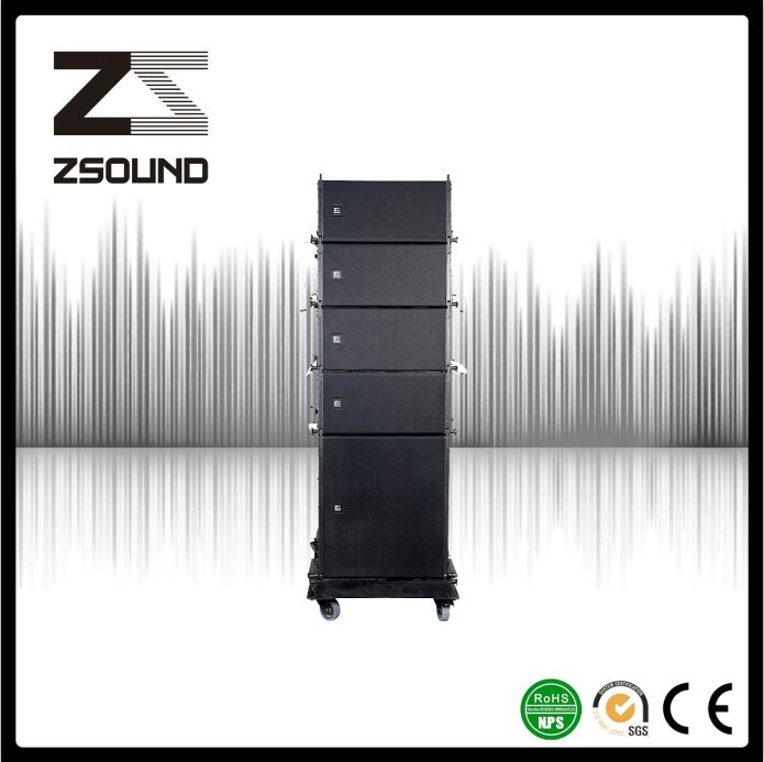 Zsound La110s 1000W PRO Theater Linear Array Subsonic Woofer