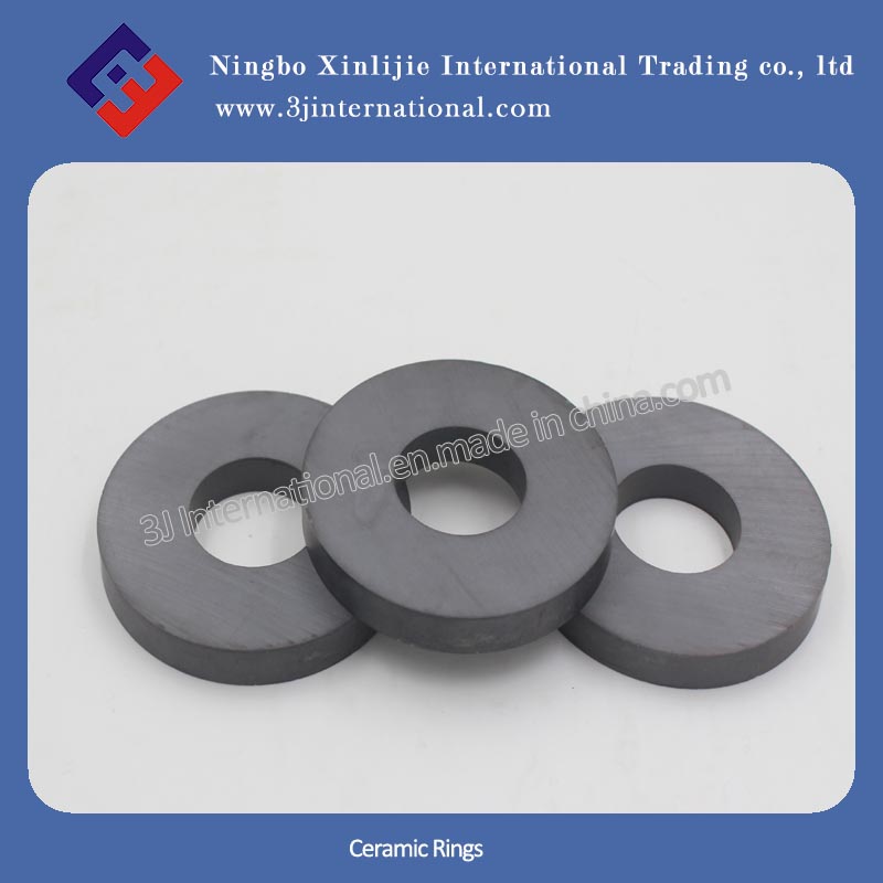 Ferrite Magnets/Ceramic Rings (XLJ-1110)