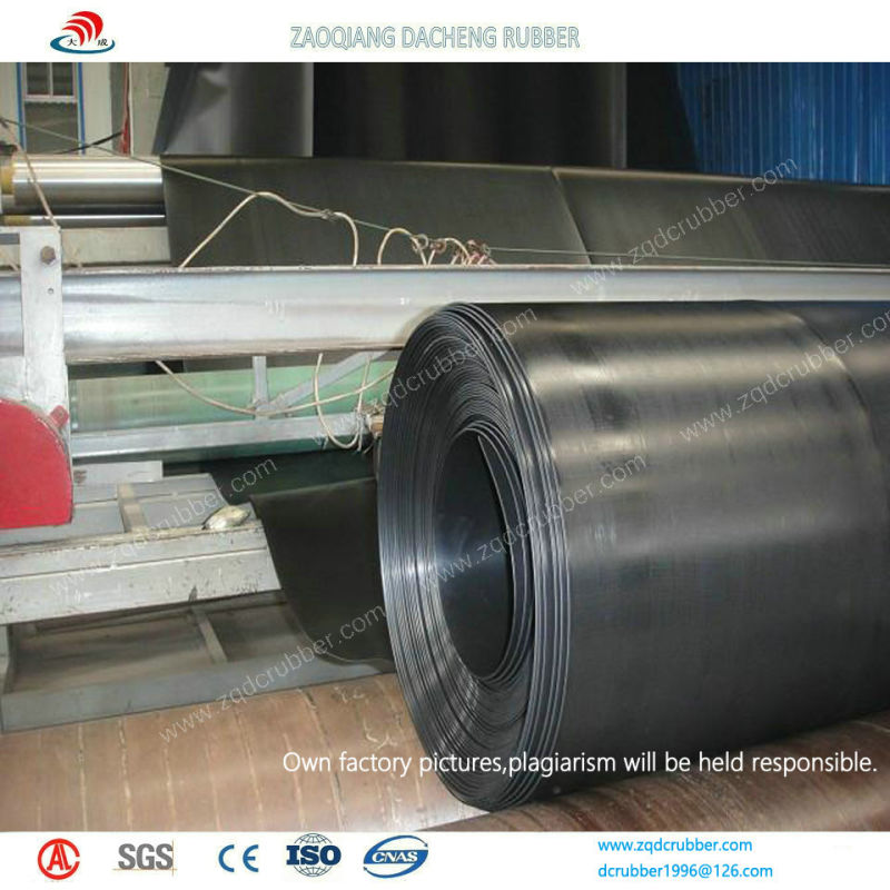 HDPE Smooth Geomembrane Used in Fish Farm