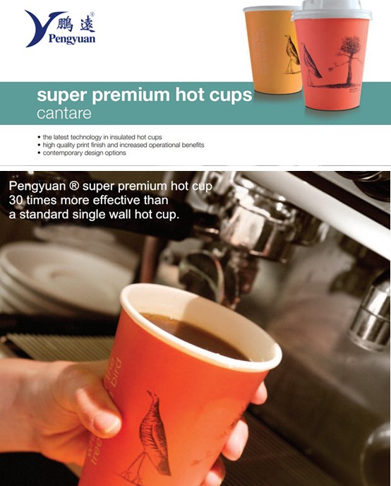 Disposable Double Wall Cafe Paper Cup (Dwpc-45)