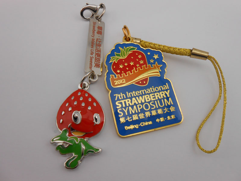 Key Chain with Automobile Sign, Key Ring (GZHY-KA-010)