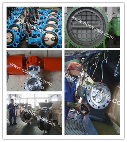 SGS Manual Operation Ductile Iron Flange Butterfly Valve (D41X)