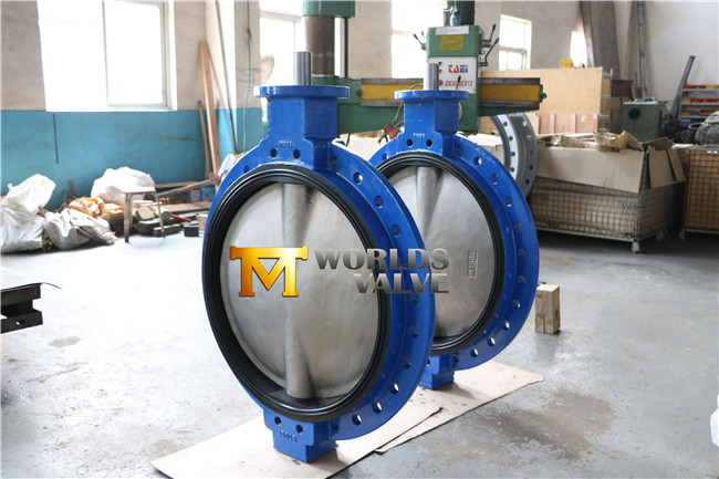 Big Size Single Flange Butterfly Valve