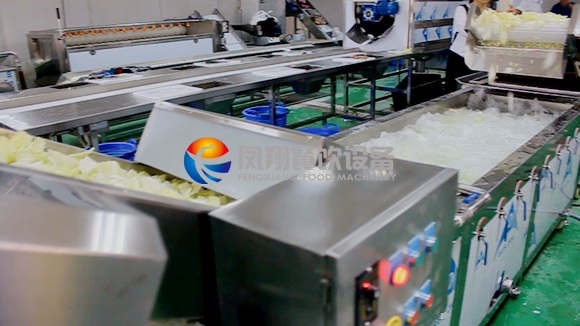 Manufacturer Vegetable and Fruits Washing Machine