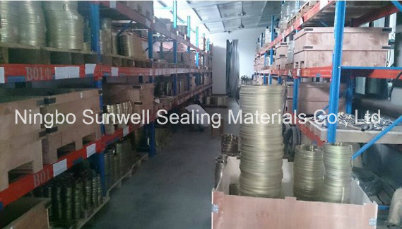 Ss316L Stainless Steel Flat Rings Spiral Wound Gaskets Inner and Outer Rings (SUNWELL)