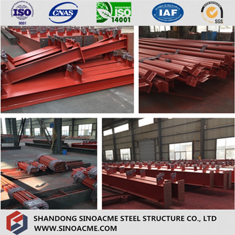 Heavy Steel Frame Shed for Workshop with Overhead Crane