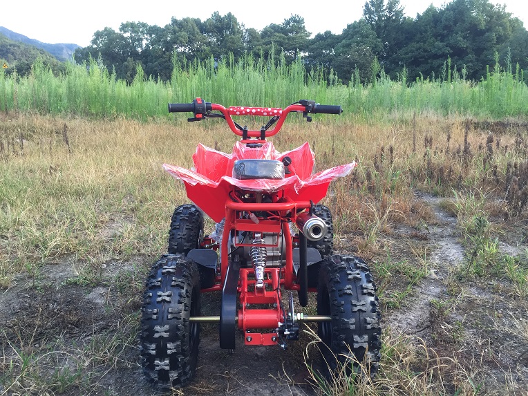 2 Stroke Update to 4 Stroke 60cc Unique Engine and Design Mini ATV, Cheapest ATV in The World