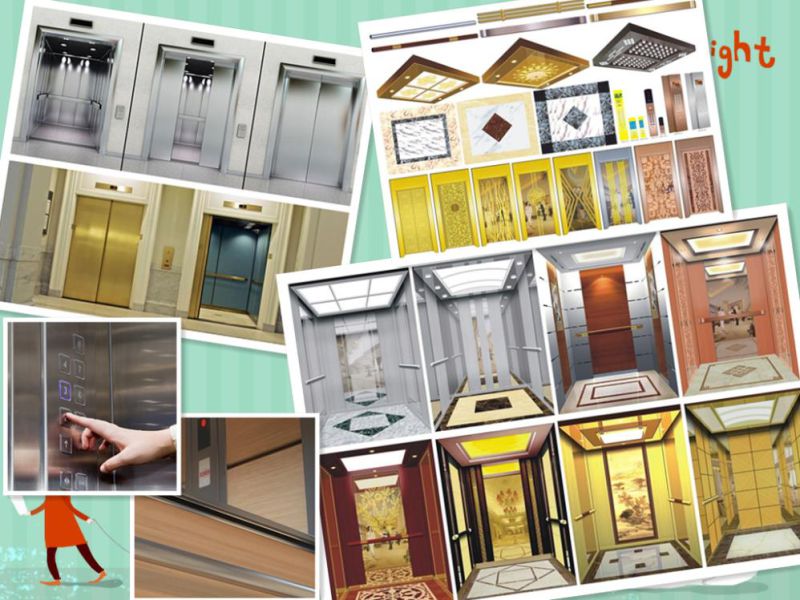 Building Small Residential Home Hotel Passenger Elevator Lift Factory