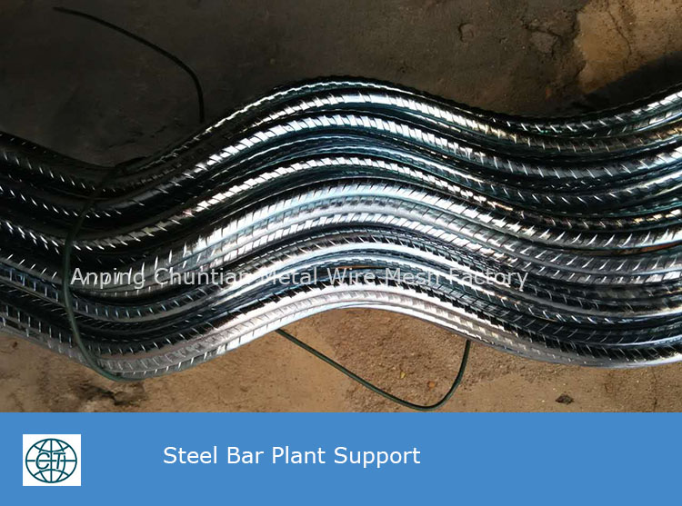 Galvanized Plant Spiral Support for Plant Climbing Wire