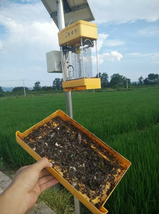 Solar Mosquito Killer/Insecticidal Fly Traps Lamp/Insect Bug Zappers for Orchard and Farmland