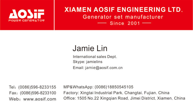 Ce Standard Configuration of 20kw Cummins Engine Diesel Generator Set