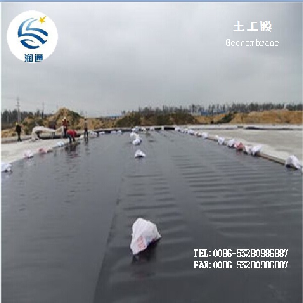 Export Manufacturer HDPE PVC Geomembrane Liner