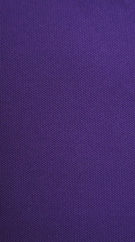 T66D Polyester Fabric with Tpo Backing